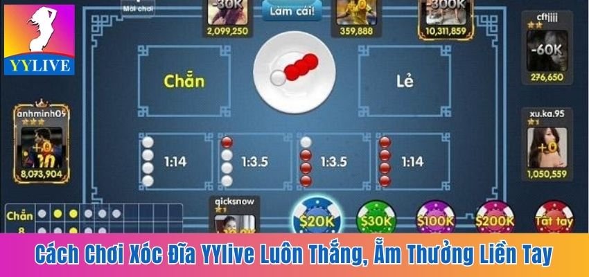 cách chơi xóc đĩa YYlive