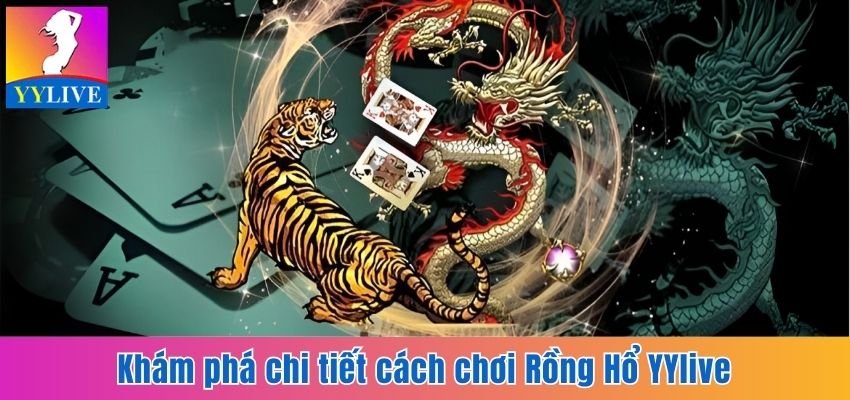 Khám phá chi tiết cách chơi Rồng Hổ YYlive